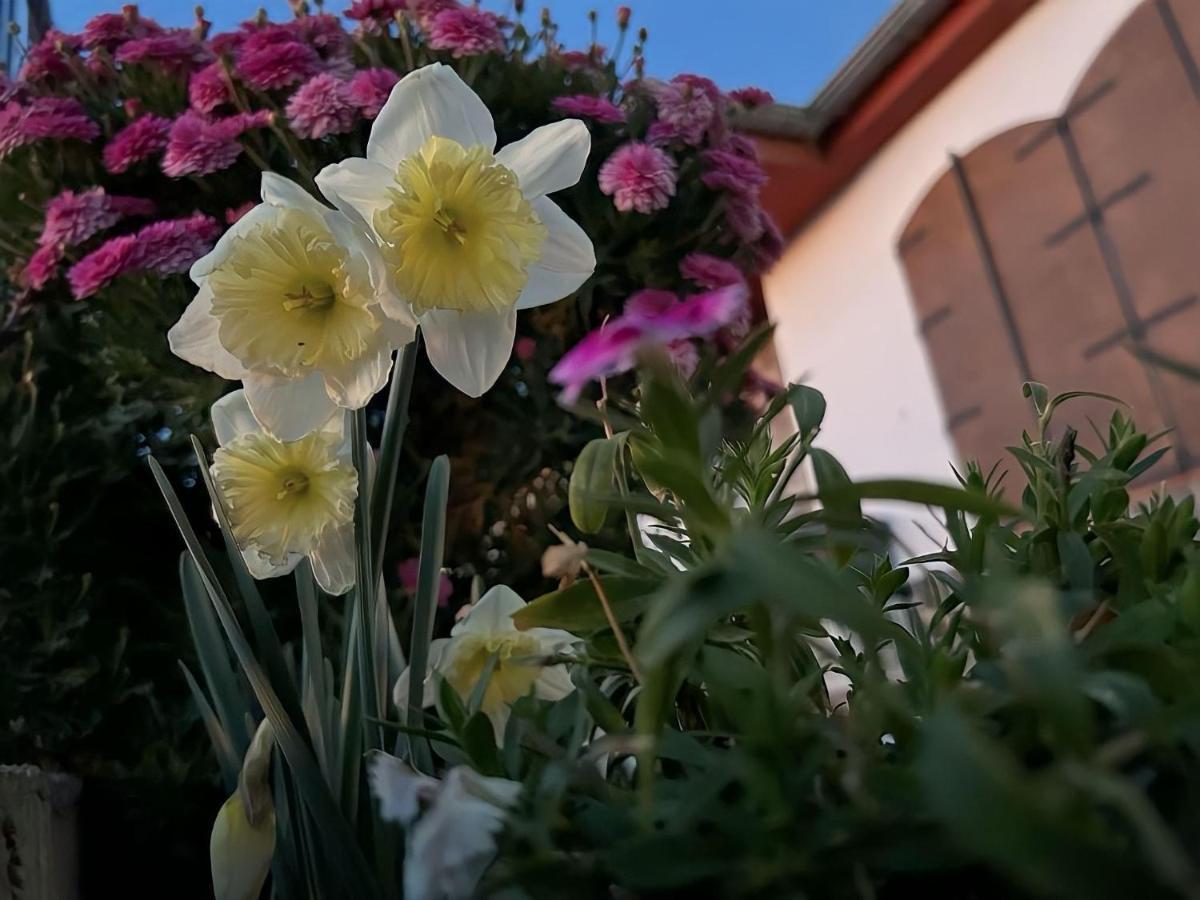 Casa Rural Vistablanca En Una Sola Planta Con Bonitas Vistas Y Piscina - Junto A La Capital Y La Alhambra Cenes De La Vega Luaran gambar